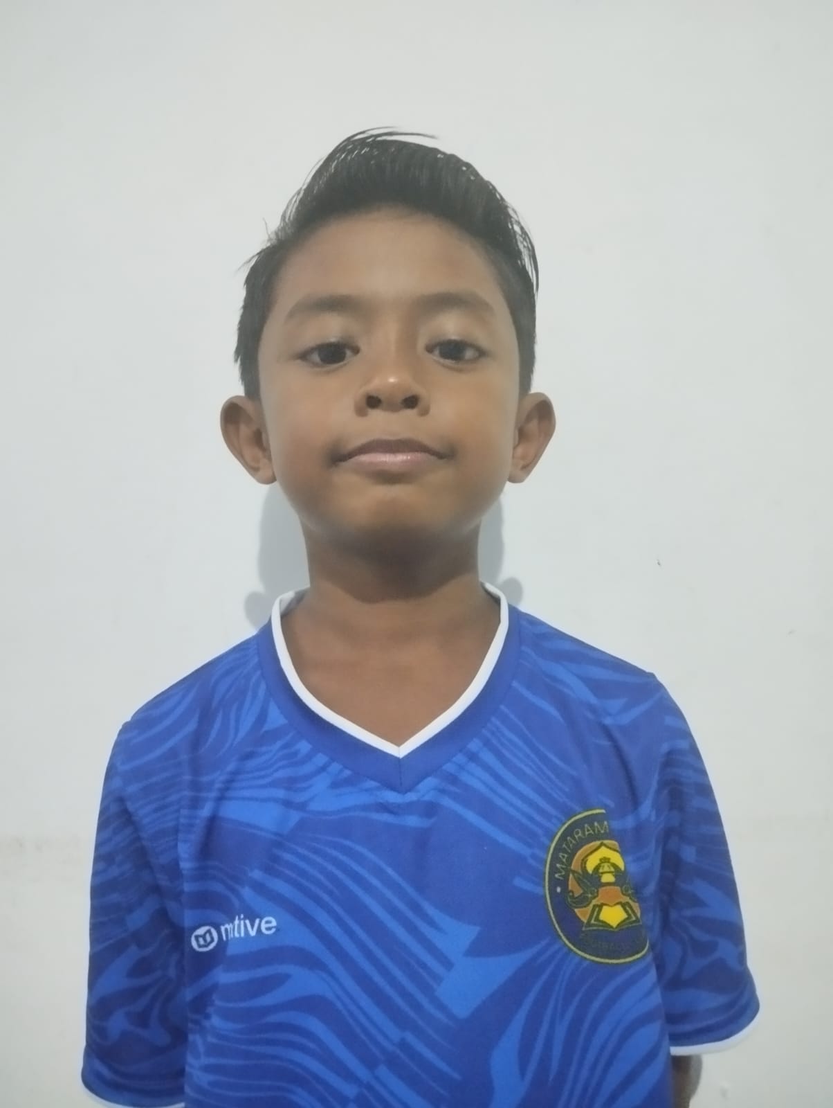 Stanislaus aline akio nugroho