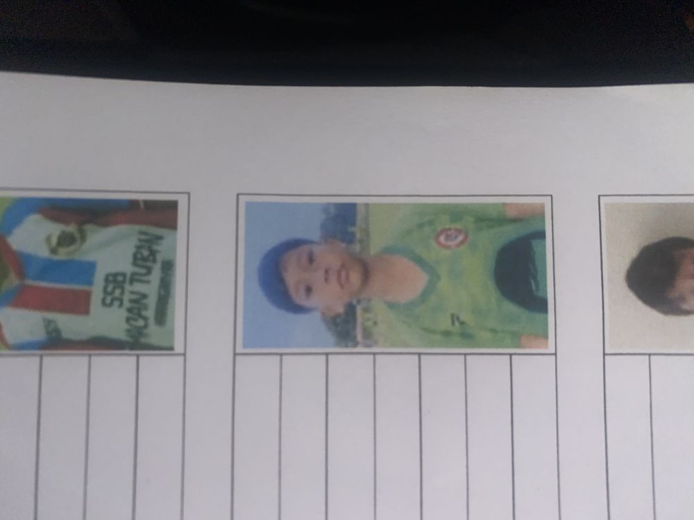 Mustafik ananta putra